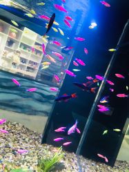 -酷嗒动物文化乐园(cutezoo西溪乐天城店)