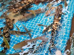 -都斛海鲜街