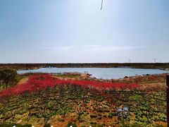 -上海海湾国家森林公园