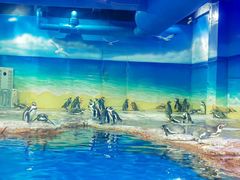 -海合安武汉极地海洋公园