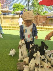 -萌宠亲子动物乐园(槐房万达店)