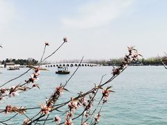 -颐和园