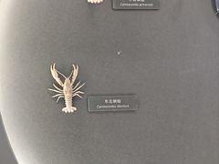 -中国湿地博物馆