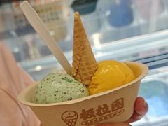 -极拉图·现制冰淇淋(大卫城店)