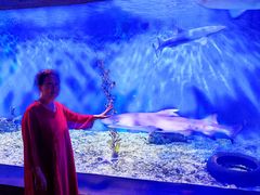 -太平洋海底世界