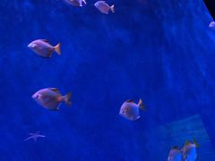 -沈阳海洋探索中心