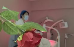 -皇家月府月子中心(沈阳店)