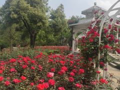 -东湖落雁景区