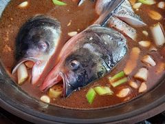 -姥家大锅台水库渔家
