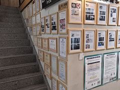 -半岛宠物医院24小时·内窥镜·牙科·碎石中心(府城大道店)