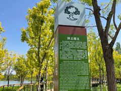 -东郊湿地公园