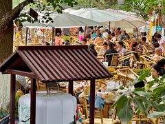 -成都市活水公园