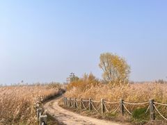 -野鸭湖国家湿地公园