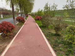 -洨河生态公园