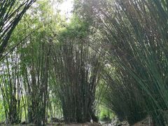 -韶关经律论国际酒店温泉