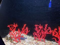 -欢乐海岸海洋奇梦馆