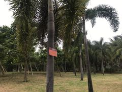 -白沙门生态公园