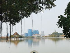 -顺峰山公园
