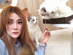 -瞄一喵猫咖(格力海岸店)