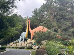 -佛冈森波拉度假区