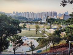 -白石龙音乐公园