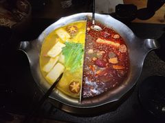 红颜花胶鸡鸳鸯锅-湊湊火锅·茶憩(南京东路悦荟店)