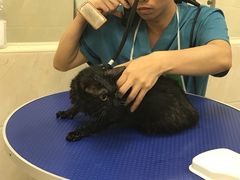 -爱诺耐芙动物医院(万博店)