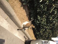 iphone_upload_pic-金陵图书馆