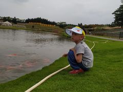 -迪茵湖田家舍生态农场