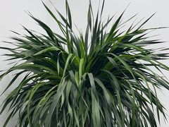 -新东方斯芬克艺术留学作品集培训(郑州校区)