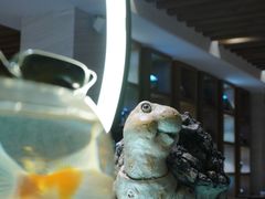 -雍和会海鲜姿造自助(湖东路店)