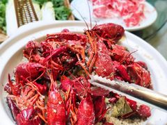 -金龙·打边炉(南京西路店)