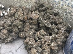 -濠轩阁特色生蚝火锅(水湾路店)