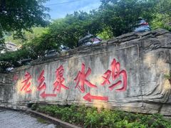 -老幺泉水鸡