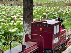 -洪湖生态旅游区