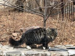 -北京西山国家森林公园