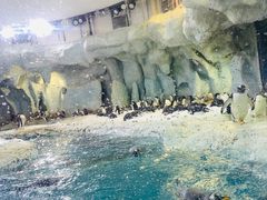 -珠海长隆海洋王国