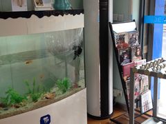 -新达口腔(华东理工大学店)