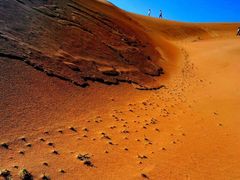 -银肯塔拉沙漠生态旅游景区