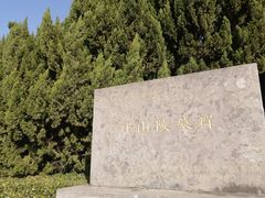 -洛阳古墓博物馆