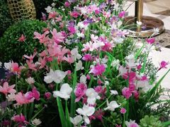 -纯客派对(酒城乐园店)