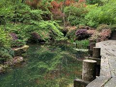 -杭州半山国家森林公园