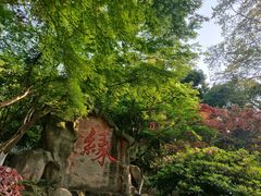 -杭州黄龙洞