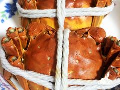 -黄记大闸蟹专卖店·活蟹·醉蟹