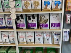 -创凡宠物医院·骨专科  猫科中心(西乡分院)