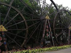 -北京呀路古热带植物园