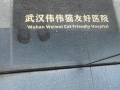 -伟伟宠物医院·瑞派猫友好医院·猫科(光谷店)