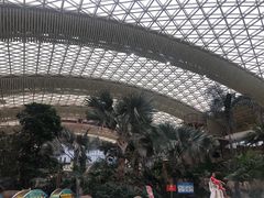 -杭州开元森泊度假乐园