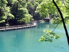 -祁门牯牛降观音堂风景区