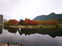 -贵阳市花溪国家城市湿地公园